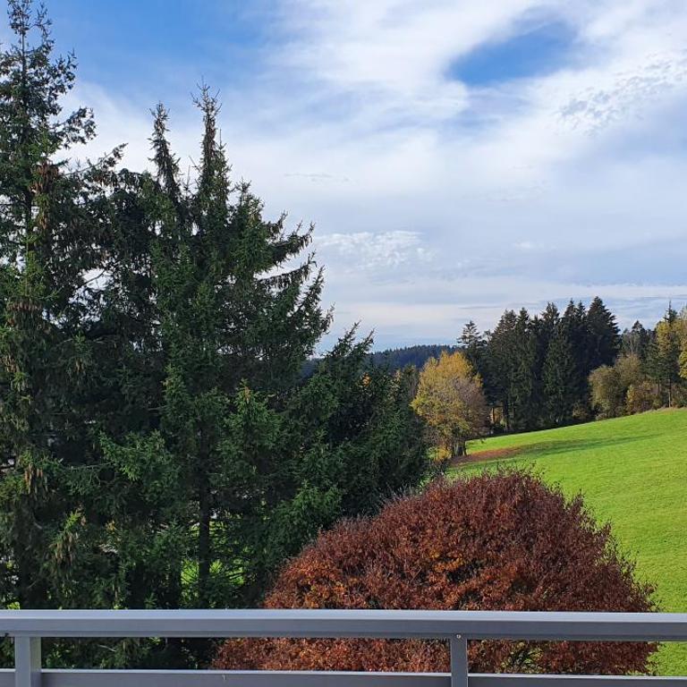 Herzerl Apartment - Appartement 1 Chambre - 22