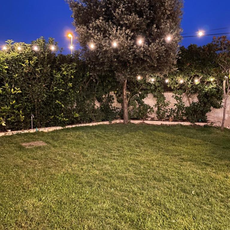 Villa Stella Marina - Villa - 15