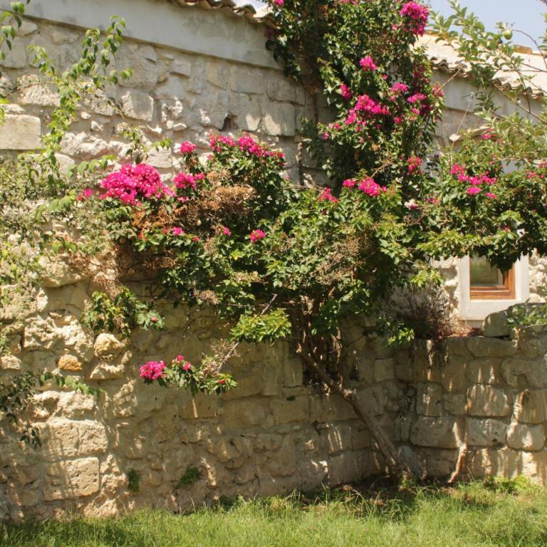 Il Carosello dei Baroni - Villa - 14