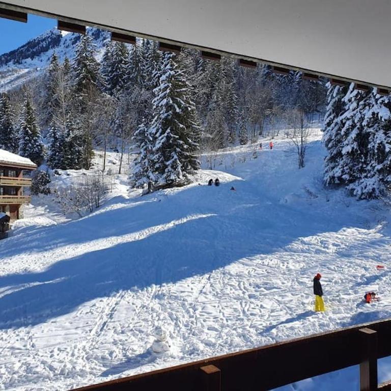 Le Cocon de la Marmotte - Appartement 1 Chambre - 24