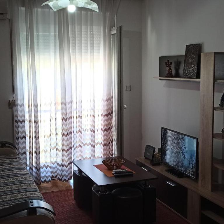 Apartment Jovana Vrnjačka Banja - Apartman sa 1 Spavaćom Sobom - 27