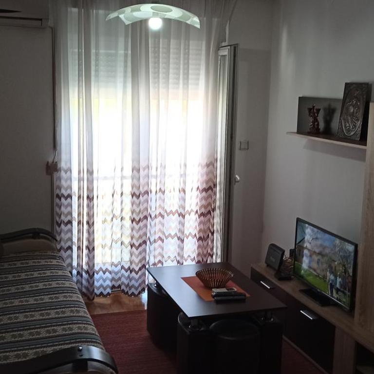 Apartment Jovana Vrnjačka Banja - Apartman sa 1 Spavaćom Sobom - 28
