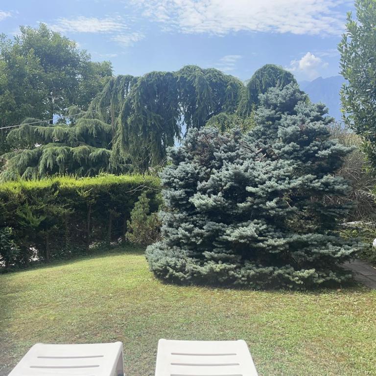 Villa Natura appartamento Open Space con giardino - Casa Vacanze - 4