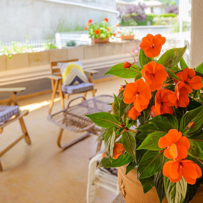 Casa dei Pini - Appartamento con 1 Camera da Letto e Terrazza - 29