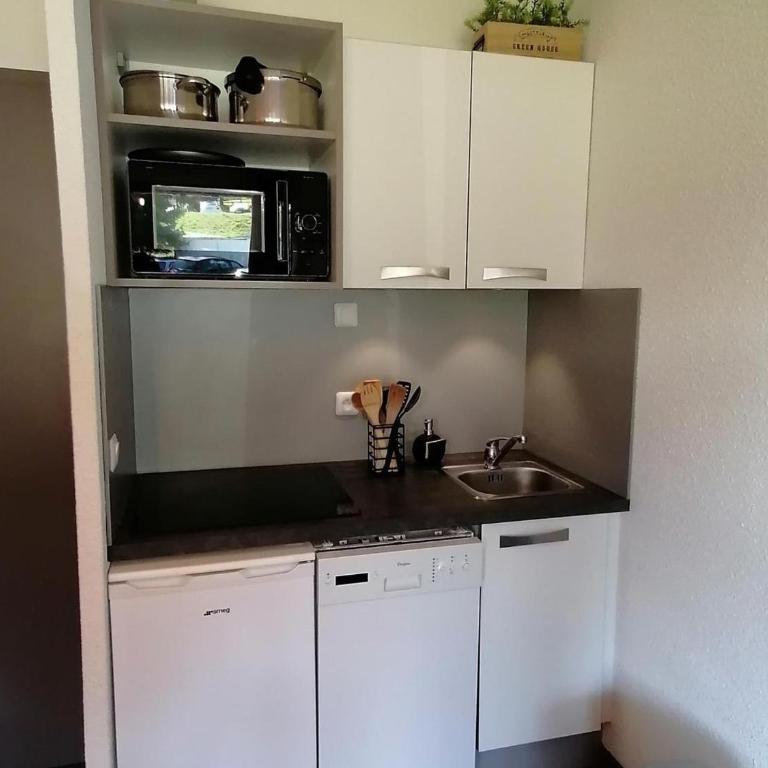 Appartement Rénové, Accès Direct aux Pistes, Balcon, Parking Gratuit, 5 Pers. - FR-1-181-2473 - Appartement - 8