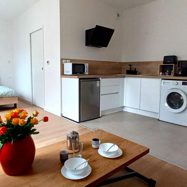 Grand studio parking-bord de Loire- hyper centre - Apartment with City View - 3