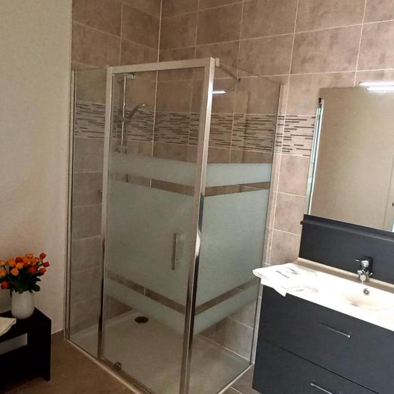 Grand studio parking-bord de Loire- hyper centre - Apartment with City View - 5