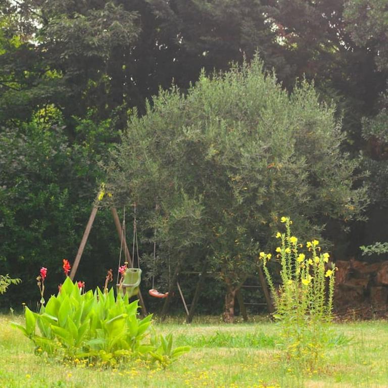 Villa du Parc I maison de caractère, proche centre - Maison 6 Chambres - 13