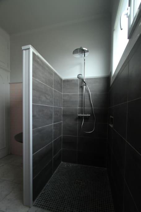 Villa du Parc I maison de caractère, proche centre - Maison 6 Chambres - 57