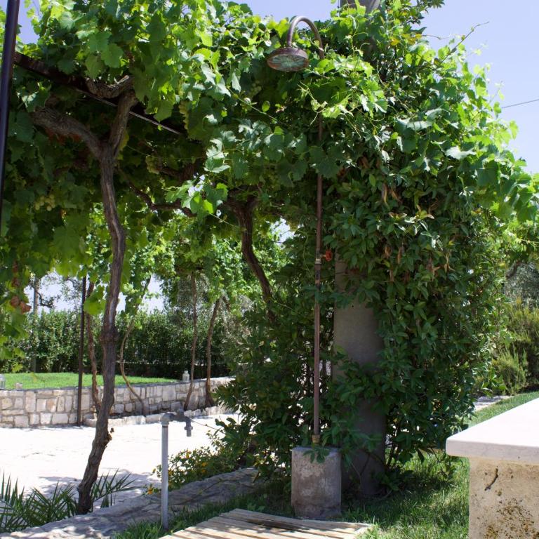 La Cummersa all'ombra dell'Ulivo - Two-Bedroom House - 65
