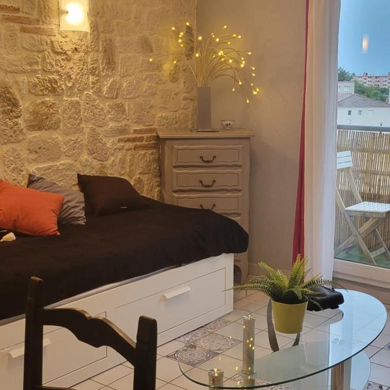 T1 parking et wifi proche centre et station tram - Apartment mit 1 Schlafzimmer - 8