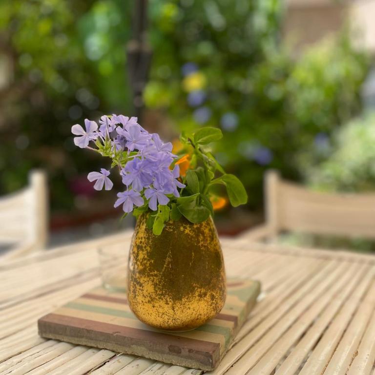 Antica Corte delle Ninfee, Historical Private Villa - Two-Bedroom Deluxe Apartment with Garden View - 58