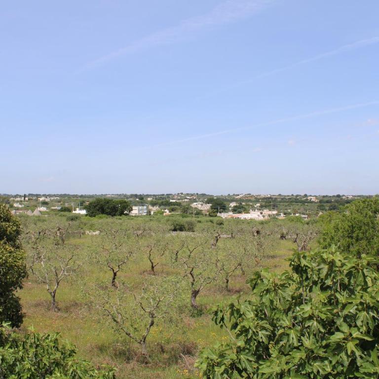 La Cummersa all'ombra dell'Ulivo - Two-Bedroom House - 68