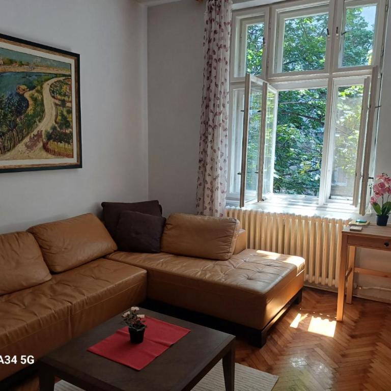 Classy and cozy near Tasmajdan park and Flower Piazza - Apartman sa 1 Spavaćom Sobom - 1