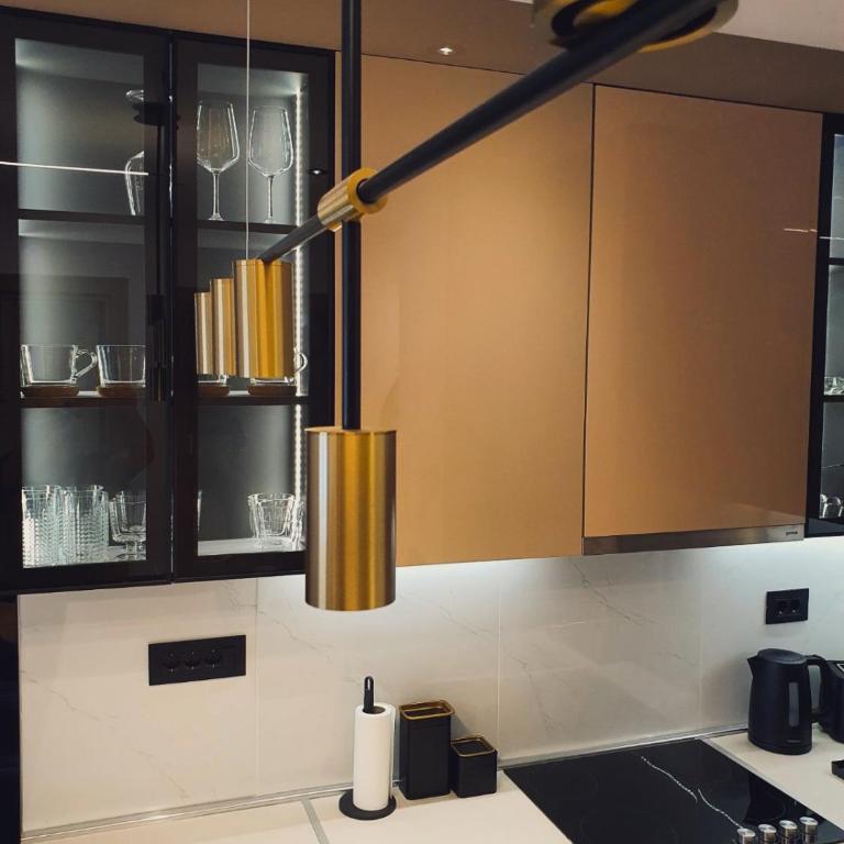 Lazarevic Lux - Vila Pekovic - One-Bedroom Apartment - 36