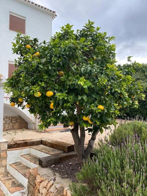 Casa Calma met nieuw zwembad en nabij zee - Villa de 3 dormitorios - 30