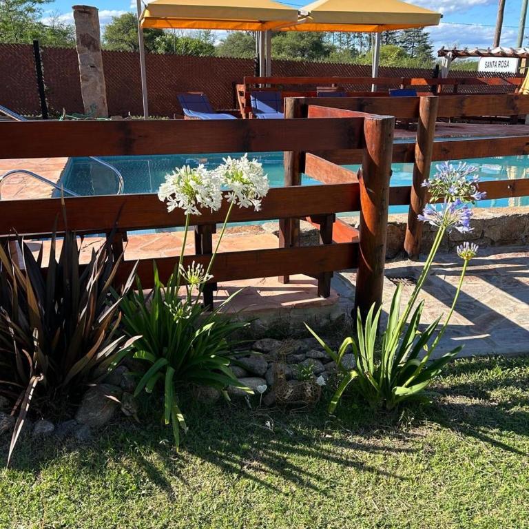 Yaviaparts - One-Bedroom Apartment with Pool View - 14