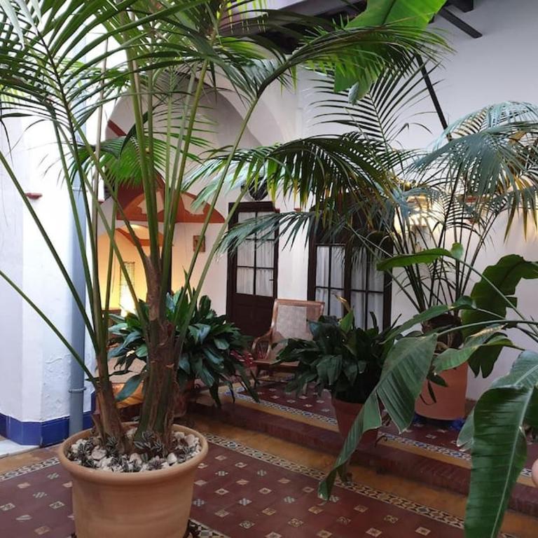 Typical Andalusian House s XVII - Casa de 3 dormitorios - 3