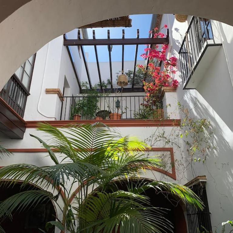 Typical Andalusian House s XVII - Casa de 3 dormitorios - 20