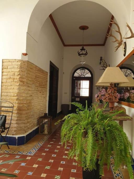 Typical Andalusian House s XVII - Casa de 3 dormitorios - 42