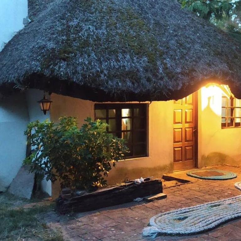 Casa Quincho en el Bosque - One-Bedroom House - 1