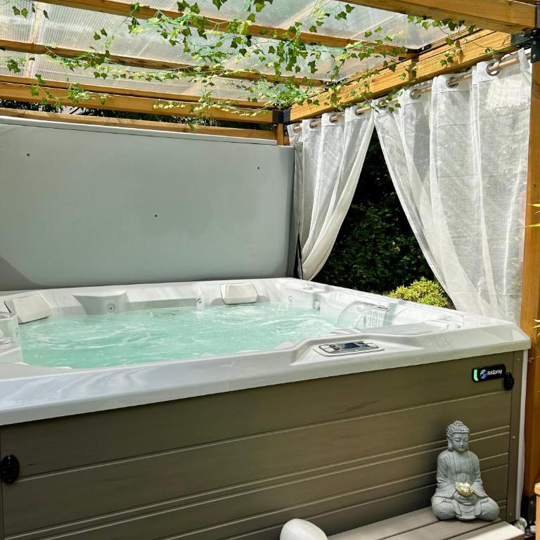 Appartement cosy en centre ville avec SPA et jardin - Appartement Supérieur - 1