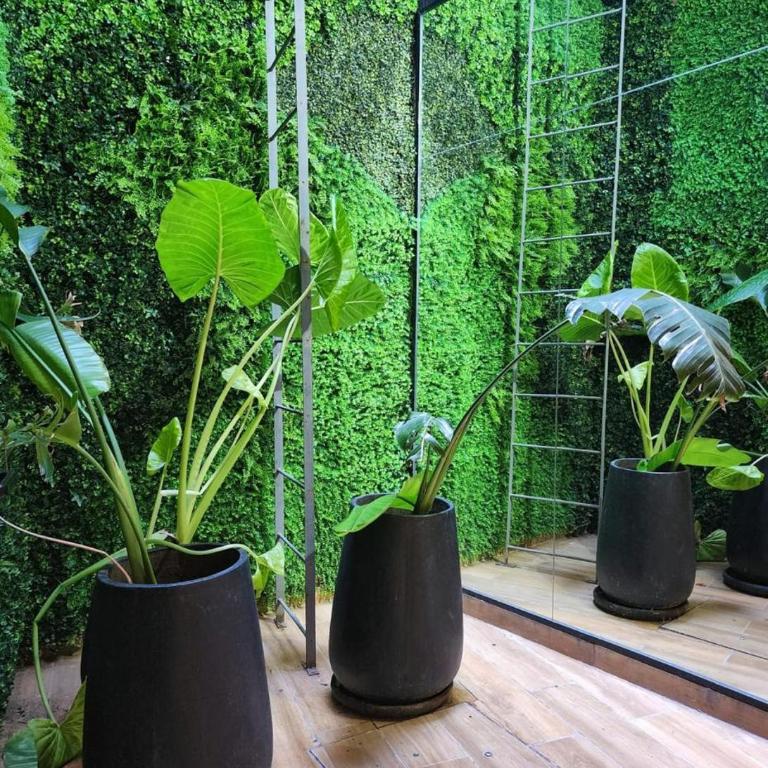 Tala Beautiful Studio - Apartamento de 1 dormitorio - 61