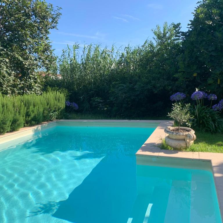 La campagne en ville piscine, jardins et 2 chambres tout confort - Appartement 2 Chambres - 1