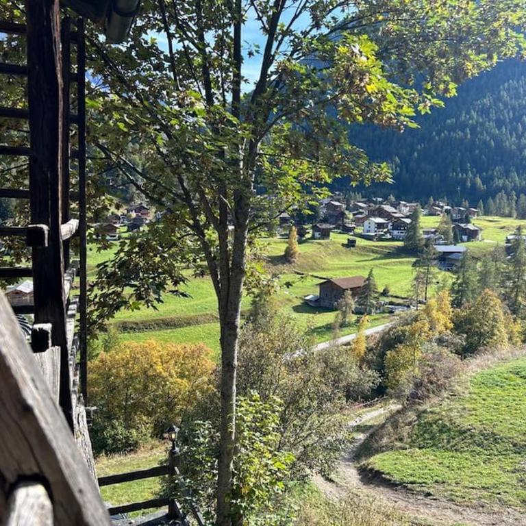Magnifique racard rénové isolé 10 minutes de marche - Chalet mit 1 Schlafzimmer - 11