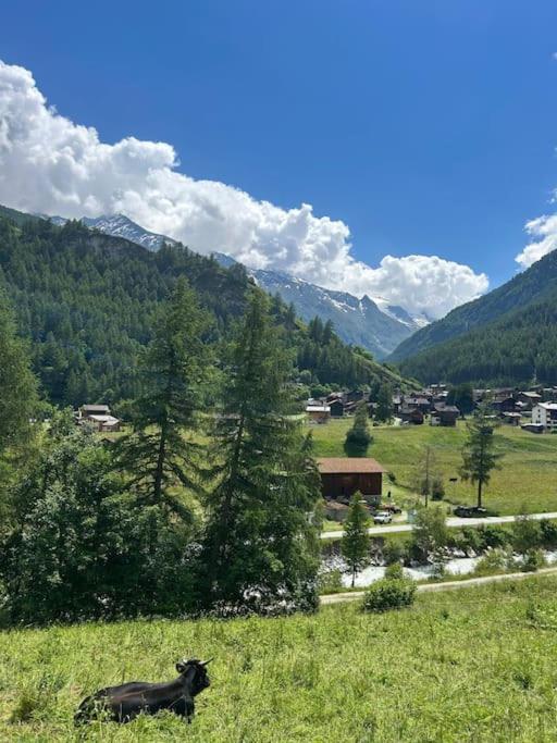 Magnifique racard rénové isolé 10 minutes de marche - Chalet mit 1 Schlafzimmer - 17