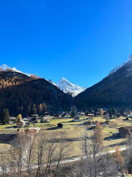 Magnifique racard rénové isolé 10 minutes de marche - Chalet mit 1 Schlafzimmer - 20
