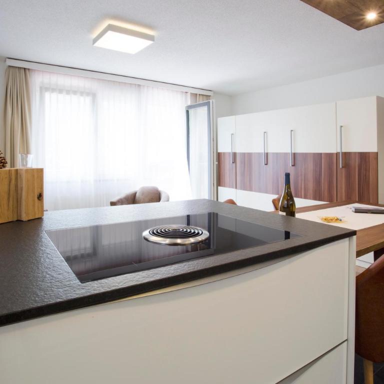 Haus Andorra mit Matterhornblick - Appartement 1 Chambre avec Vue - 3