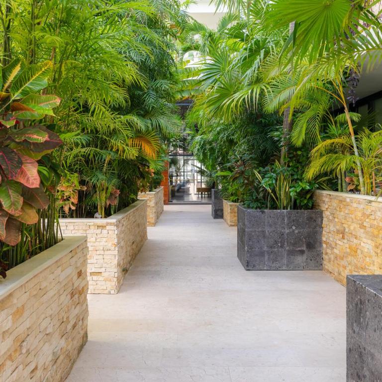Tu Oasis en Playa del Carmen - One-Bedroom Apartment - 18