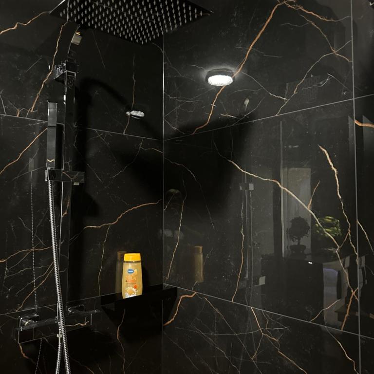 Mo- Luxury Apartment - One-Bedroom Apartment - 19