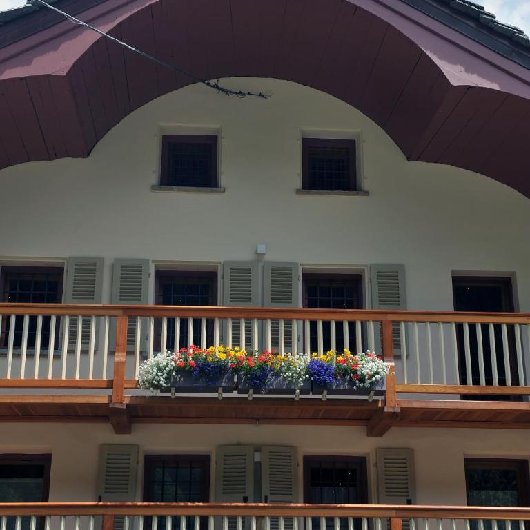 Historic Residenze Loo Bach - Appartamento Luxury - 2