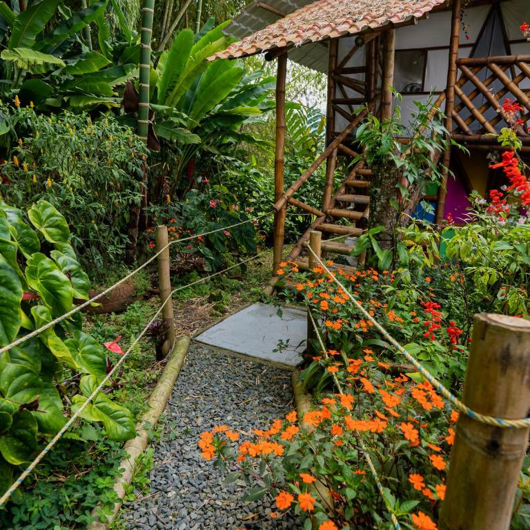 Glamping Los Alpes - Family Room with Mountain View - 5