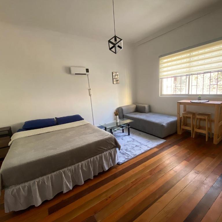 CASA ROMÁN Habitación 3 personas en Providencia - Habitación Doble con vistas al parque - 15