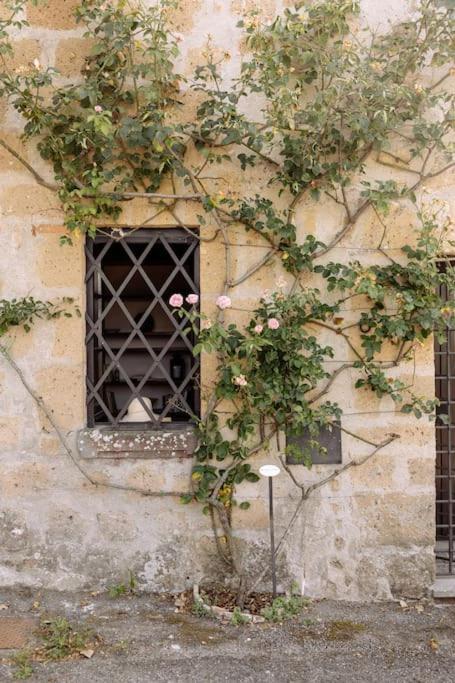 T65 home holidays in Umbria - Orvieto - Appartamento con 2 Camere da Letto - 15