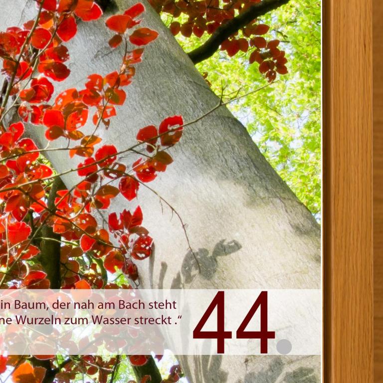Das Felaria - Apartment mit 2 Schlafzimmern und Badezimmer - 1