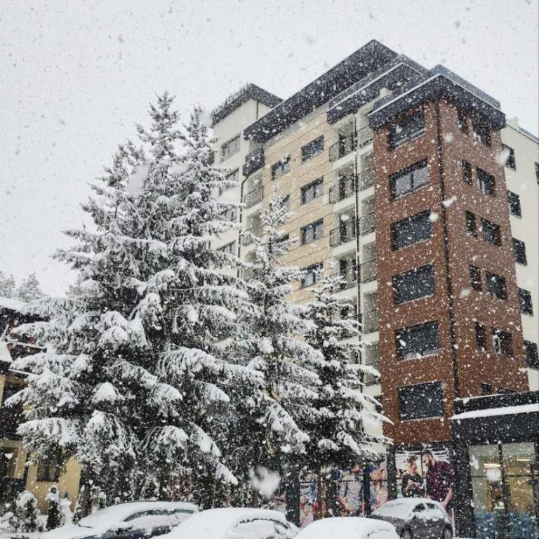 Apartman Mijatović 22 - Apartman sa 1 Spavaćom Sobom - 1