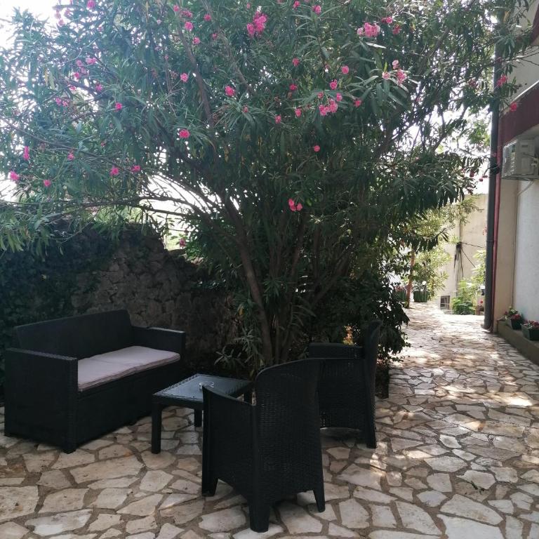 Apartmani Lav - Apartman - Prizemlje - 5