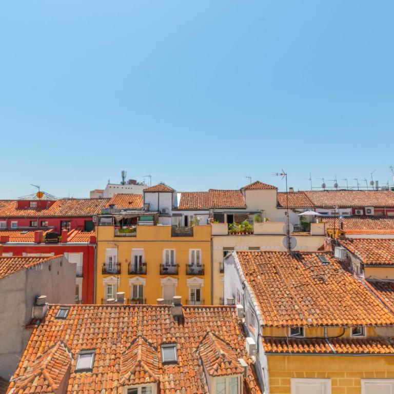 Authentic Madrid Experience -Plaza Mayor 7min walk - Spectacular view - Champagne - One-Bedroom Apartment - 19