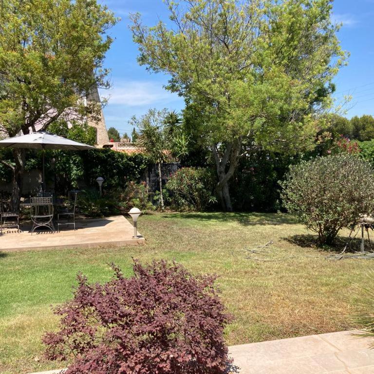 magnifique villa avec piscine - Villa - 14