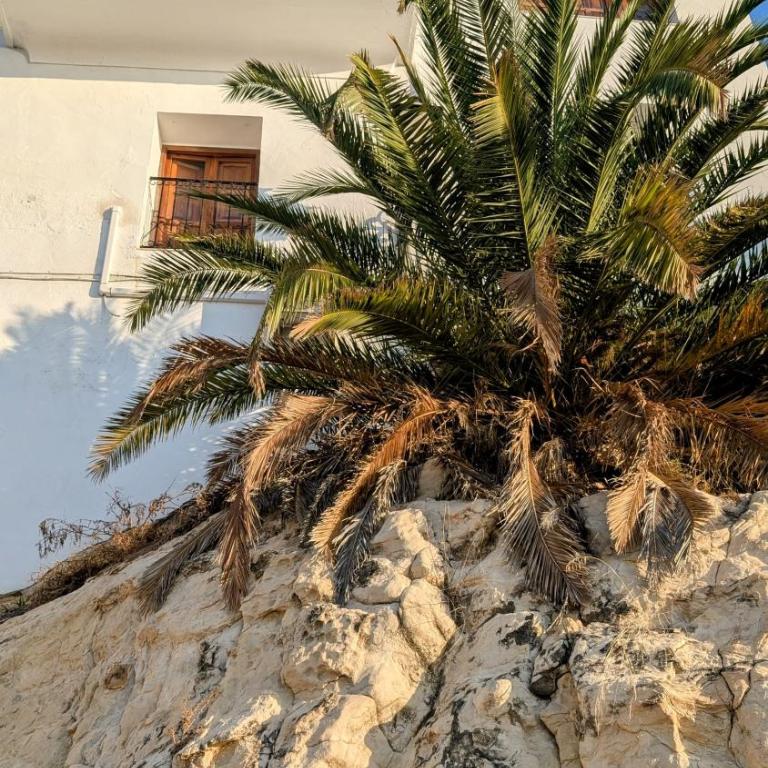 Casa con vistas al mar en el Casco Antiguo de Altea - Casa de 3 dormitorios - 24