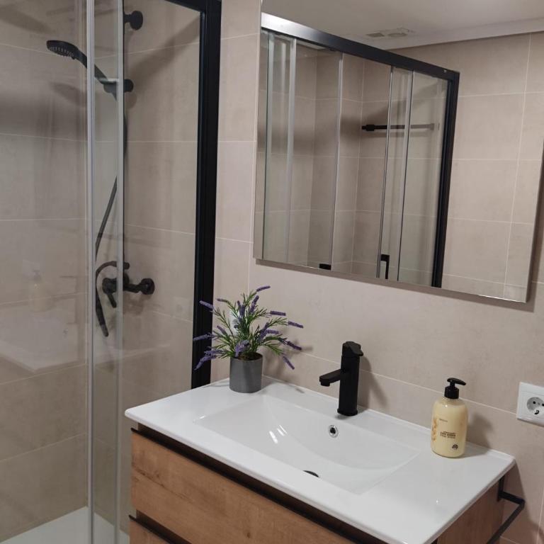 Pueblo Quinta - One-Bedroom Apartment - 14