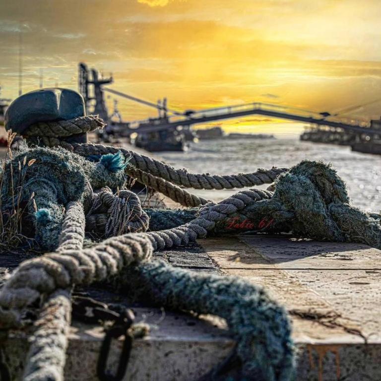 Casetta Valderoa Fiumicino - Appartamento con 1 Camera da Letto - 17