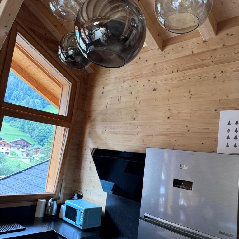 La Rose des neiges à Châtel - Appartement - 26