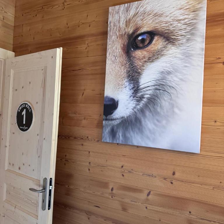 La Rose des neiges à Châtel - Appartement - 34