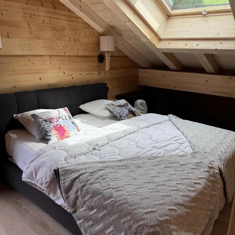La Rose des neiges à Châtel - Appartement - 35