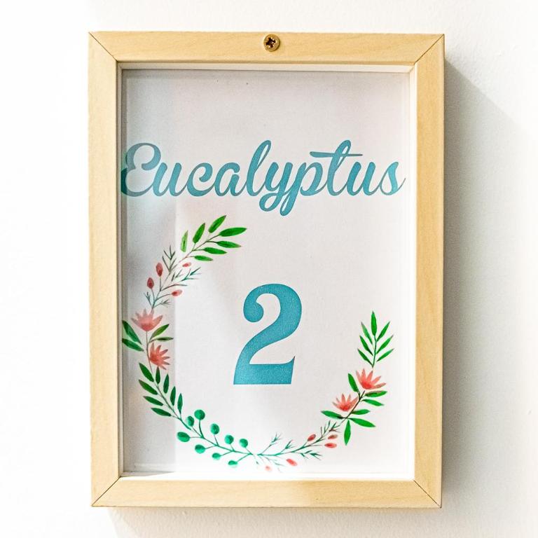 "L'Eucalyptus" Joli T2 35m2 Clim Prox Gare Métro Tram - Apartamento de 1 dormitorio - 23